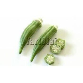 Ladies Finger Okra (வெண்டை) 500g